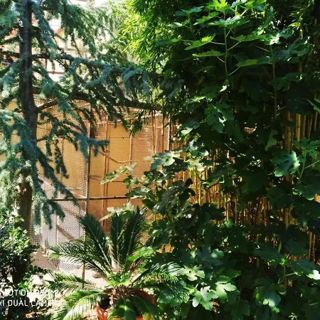 Lora Homestay