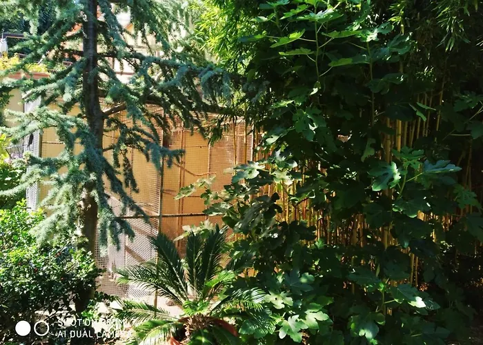 Lora Homestay szállás